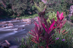 2018_Bali-6