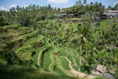 2018_Bali-8
