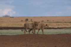 2019_Kenia-11