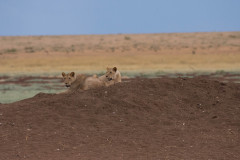 2019_Kenia-12