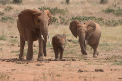 2019_Kenia-3