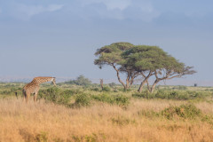2019_Kenia-33