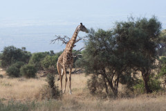 2019_Kenia-34