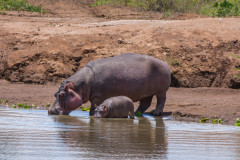 2019_Kenia-74