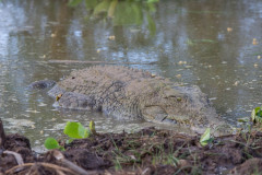 2019_Kenia-76